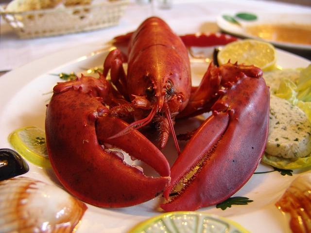 lobster-752705_640
